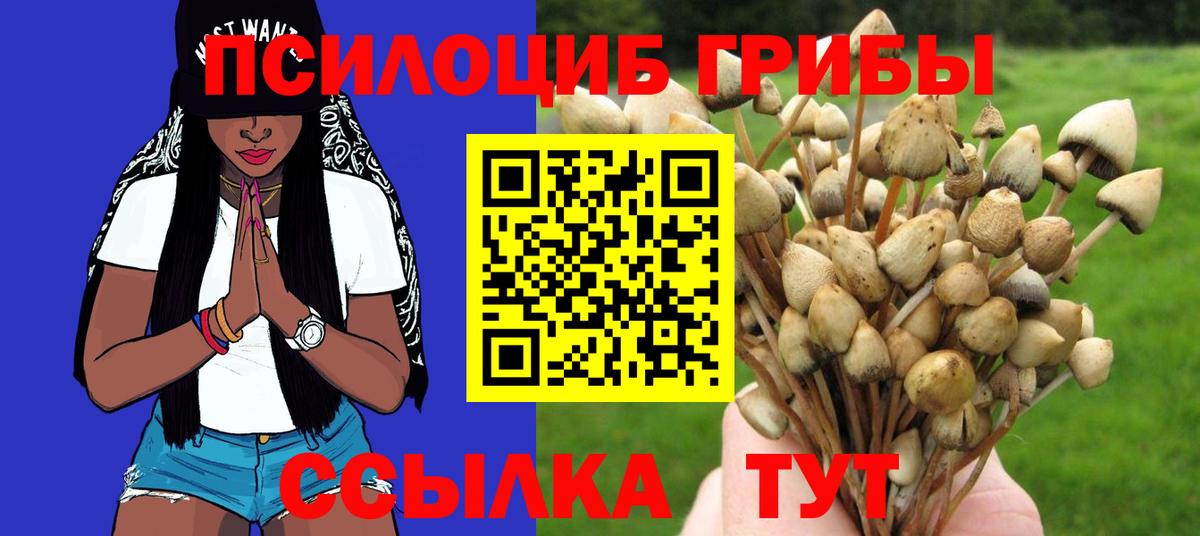 Псилоцибиновые грибы GOLDEN TEACHER Апшеронск
